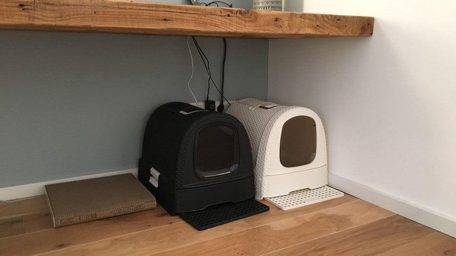 Why Does My Cat Use the Litter Box When Guests Arrive?