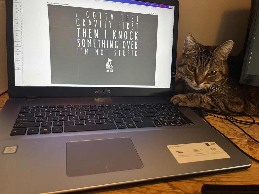 Why Does My Cat Sit on My Keyboard?